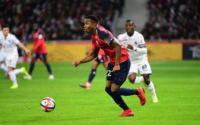 多元与开放 多元与开放